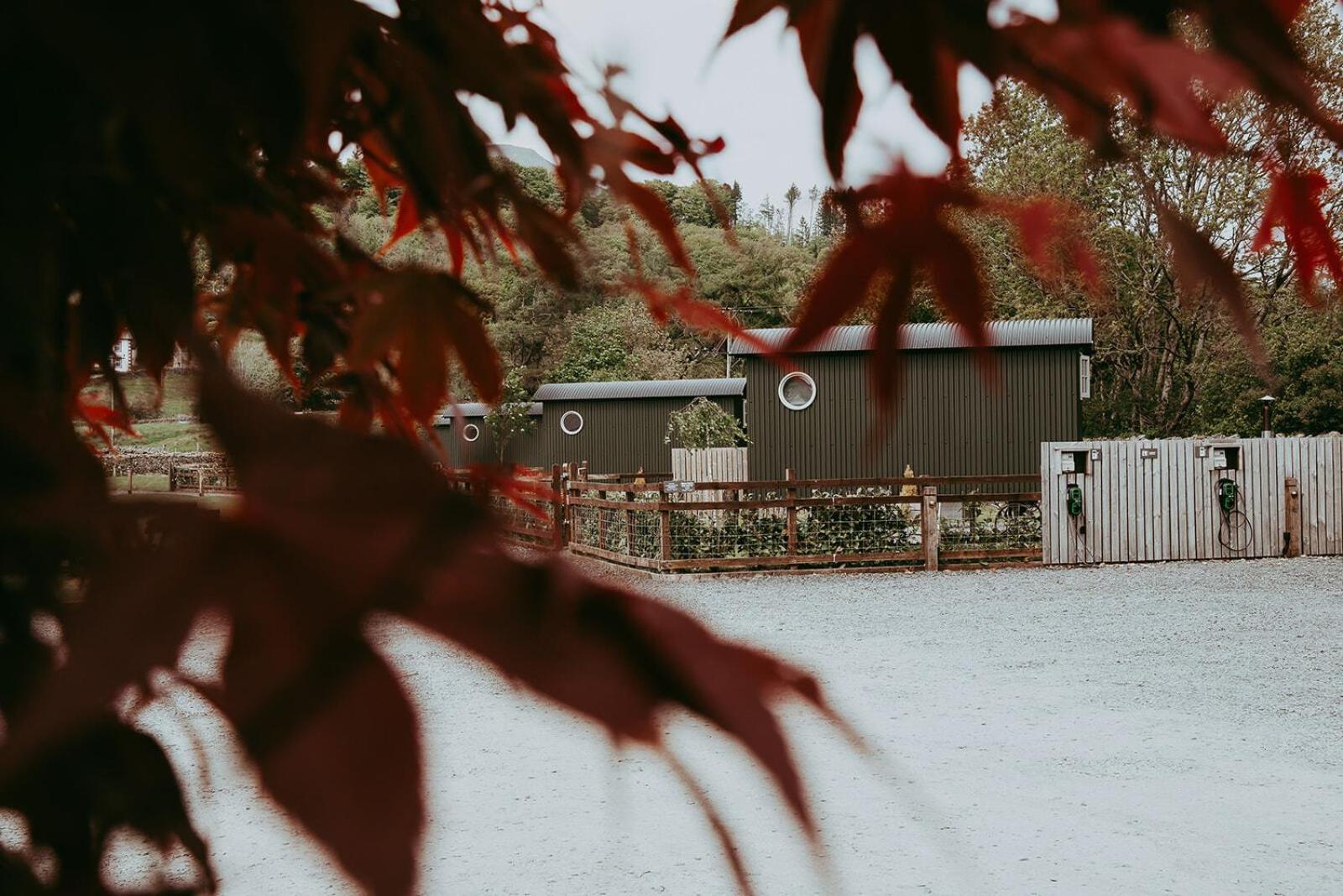 토버 The Wilson Arms B&B 객실 사진